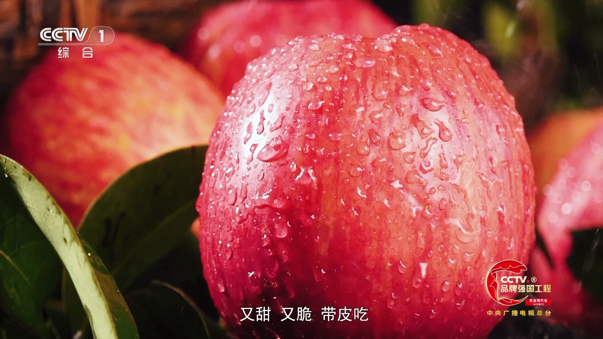 小云TV版电视盒子1.0.4免费版截图2