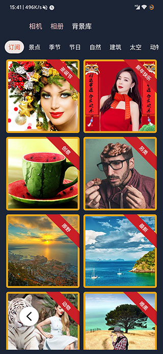 proknockout已付费解锁版v5.0.0.0安卓版截图1