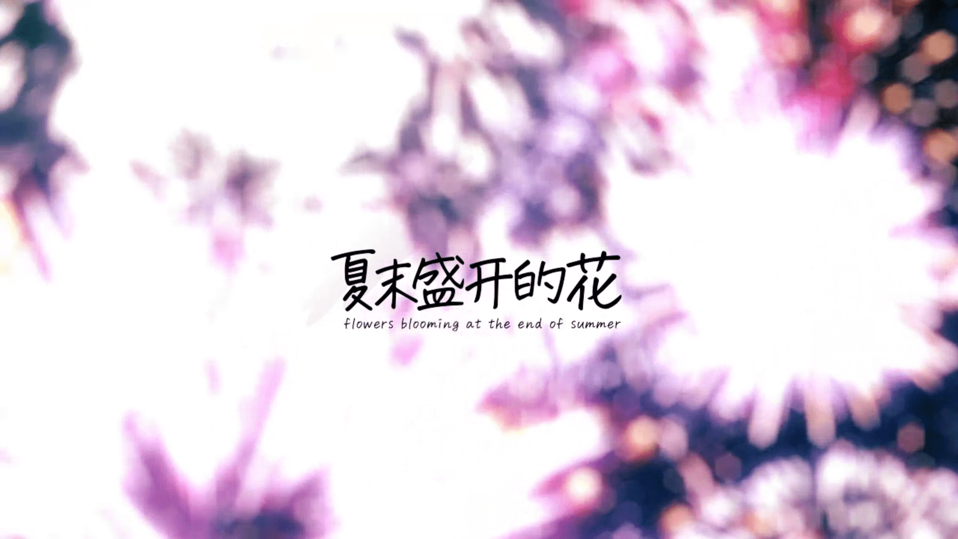 flowers blooming at the end of summer夏花游戏中文版3.0.0.3安卓版截图1