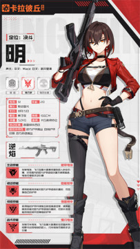 ������������Ӧ�ñ���