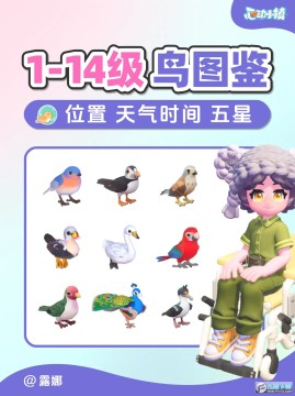 心动小镇观鸟全图鉴位置大全_心动小镇鸟类分布图 心动小镇观鸟全图鉴位置大全_心动小镇鸟类分布图