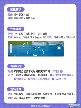 心动小镇观鸟全图鉴位置大全_心动小镇鸟类分布图 心动小镇观鸟全图鉴位置大全_心动小镇鸟类分布图