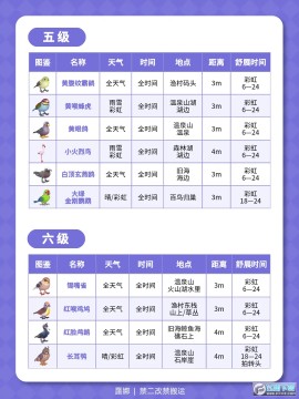 心动小镇观鸟全图鉴位置大全_心动小镇鸟类分布图 心动小镇观鸟全图鉴位置大全_心动小镇鸟类分布图