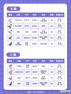 心动小镇观鸟全图鉴位置大全_心动小镇鸟类分布图 心动小镇观鸟全图鉴位置大全_心动小镇鸟类分布图