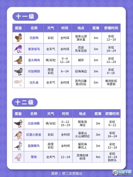 心动小镇观鸟全图鉴位置大全_心动小镇鸟类分布图 心动小镇观鸟全图鉴位置大全_心动小镇鸟类分布图