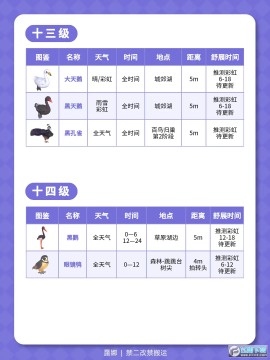 心动小镇观鸟全图鉴位置大全_心动小镇鸟类分布图 心动小镇观鸟全图鉴位置大全_心动小镇鸟类分布图