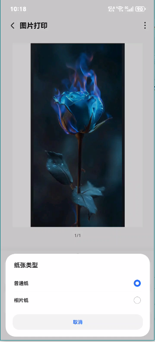 荣耀打印助手app官方版(Print Assistant)v15.1.0.108截图4