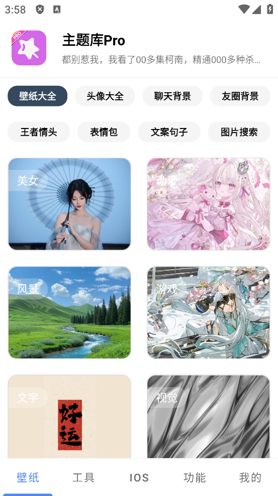 主题库pro最新版v1.3安卓版截图3