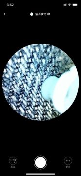 蜂鸟采耳app官方版(bebird) 蜂鸟采耳app官方版(bebird)