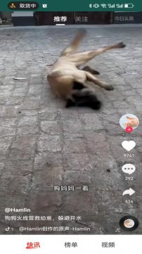 ÿ�տ�Ѷ���ٰ��ֻ���