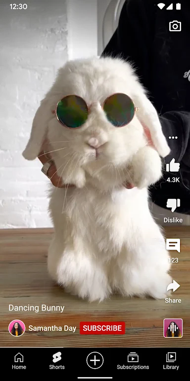 �͹�youtube���ʰ�appv20.51.39��ͼ2