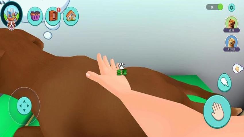 ���ĳ����������ιٷ���