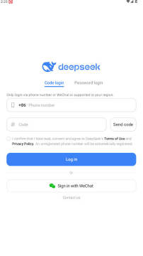 deepseek2025°