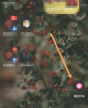 畅听FM下载2025最新版本 畅听FM下载2025最新版本