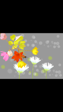 网极swf播放器2025最新版 MuMu12-20250422-122928.png