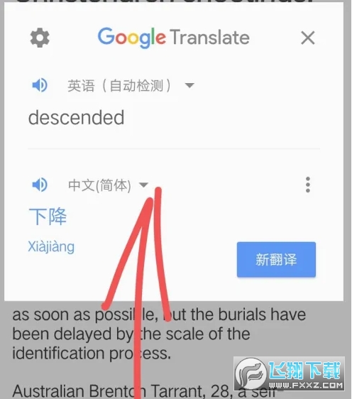 ȸ跭Ӧʹ?ȸ跭ʷ