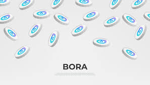 BORAʲôңBORA¼۸BORAҹٷϢ
