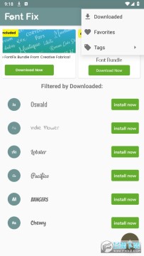 �����ʦFontFix�߼���2025���°�