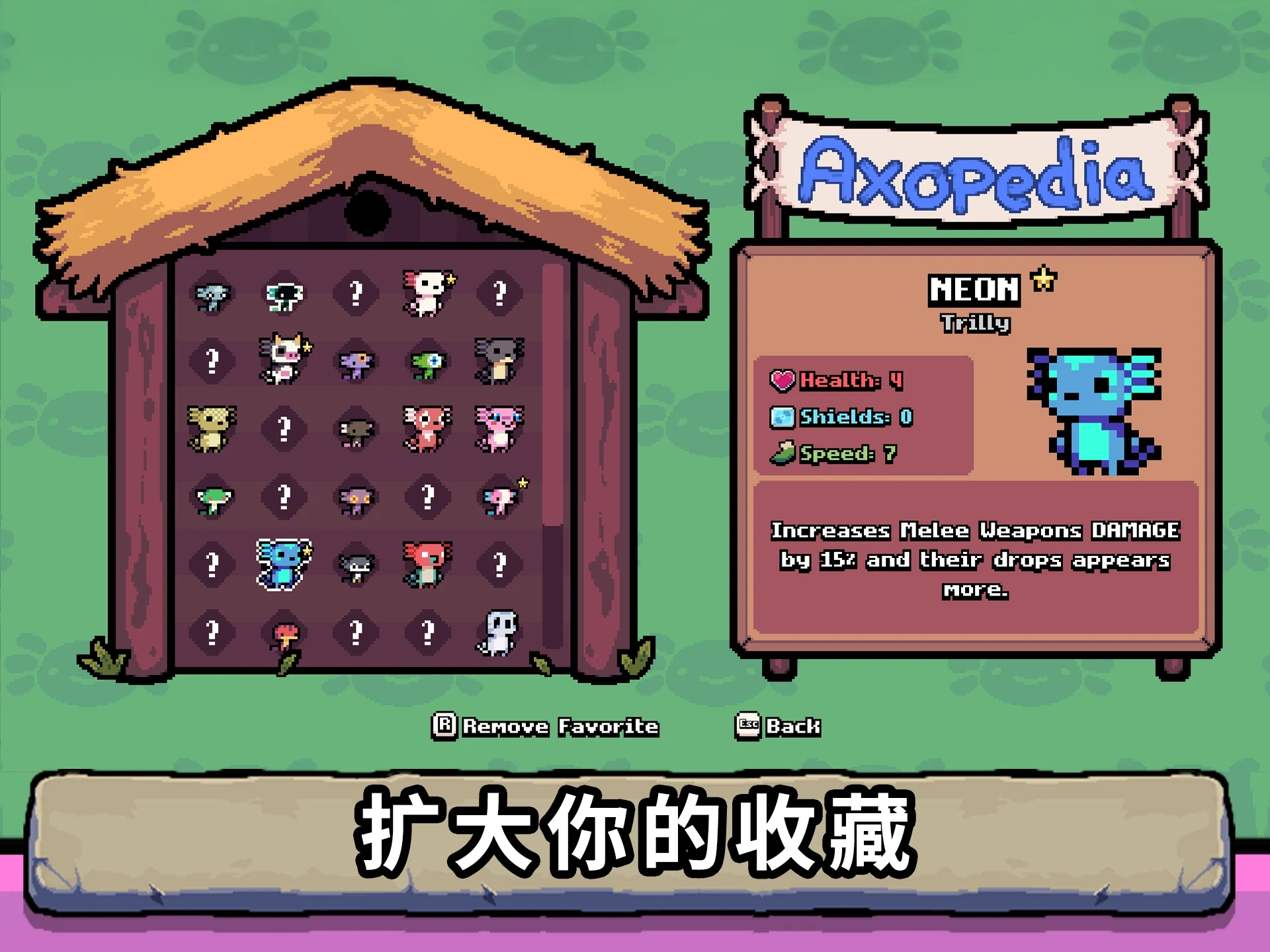 AK󢰲׿İ(AK-xolotl)v2.0.19535.50.1ͼ1