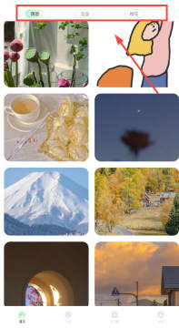 荷花壁纸app免广告版 荷花壁纸app免广告版