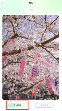 荷花壁纸app免广告版 荷花壁纸app免广告版