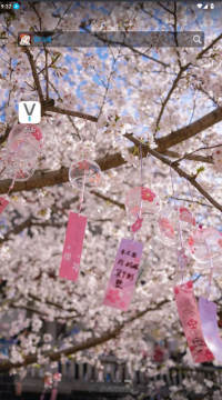 荷花壁纸app免广告版 荷花壁纸app免广告版