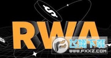 RWAһ ͨͶͶʣ