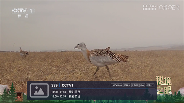 տ9TVֱ°汾v1.3.2-2׿ͼ0