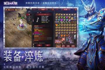 ��������ʹ