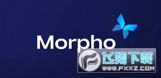 MORPHOҵǱжMORPHOҽ MORPHOϢ