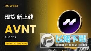 AvantisAVNTʲôңֵAvantisAVNTδƷ