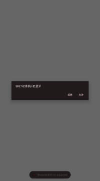 SKZ V2官方下载2025最新版本 SKZ V2官方下载2025最新版本