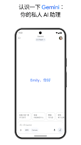 Gemini׿°1.0.795460806ͼ0