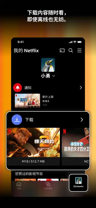 Netflix׷app°