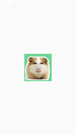 app2025°1.0ͼ1