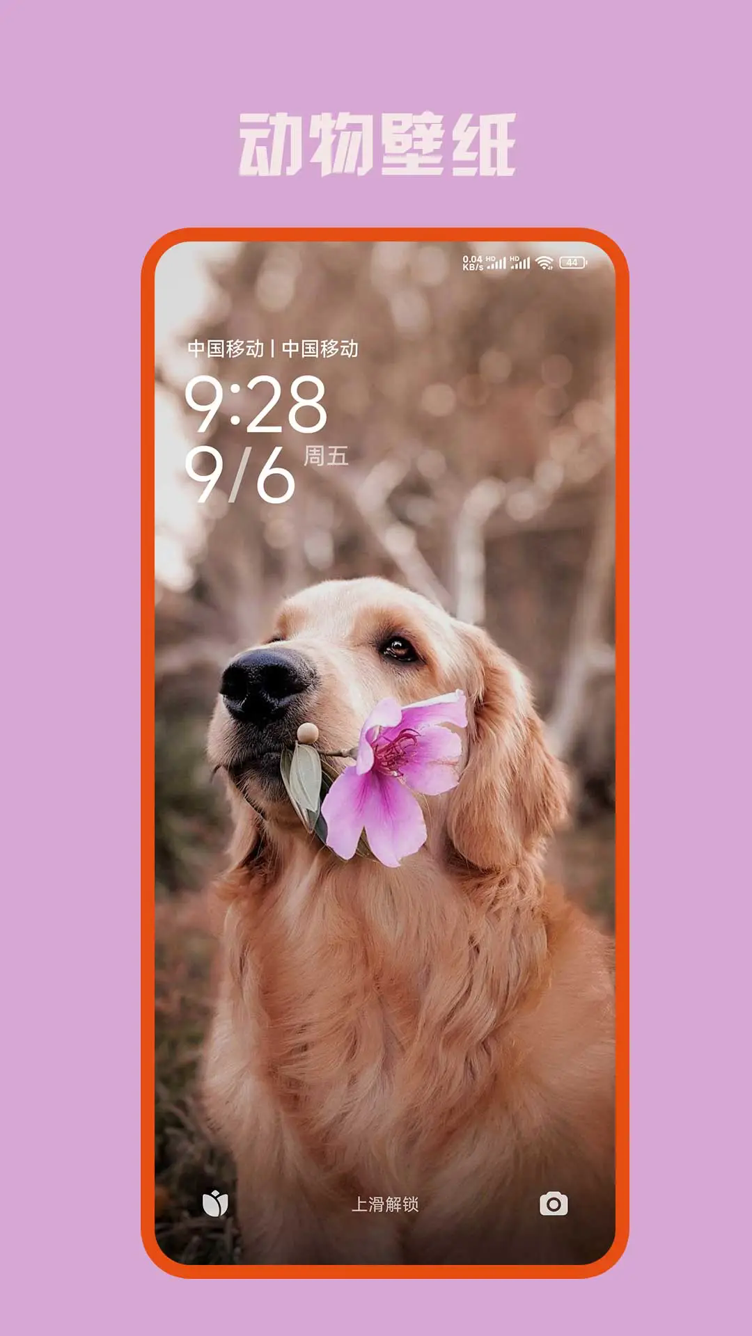 ڴѱֽappٷv10.0.803°ͼ0