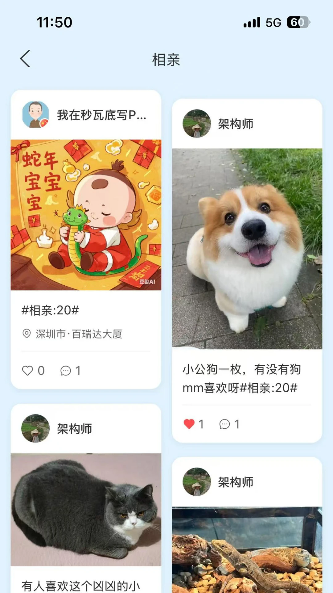 PetMeetｻ°v2.1׿ͼ2