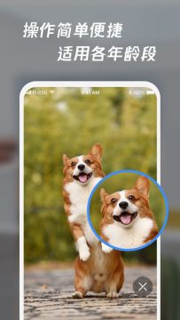 ͨ͸�Ŵ�APP���°�