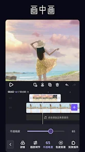 VivaCut�����ٷ�����3.1.4��ͼ1