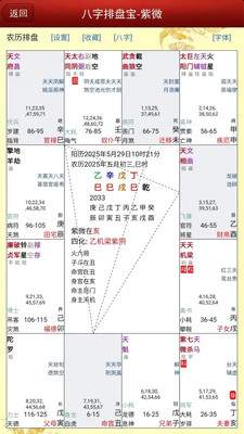 马国峻八字排盘宝官方免费版2025.12.24手机版截图3