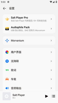 椒盐音乐官方版截图