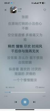 Lazer音乐app手机无广告版 Lazer音乐app手机无广告版
