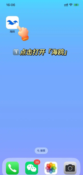 海鸥聊天软件