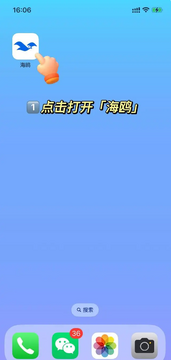 海鸥聊天软件