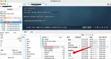 FinalShell for Mac 连接服务器和性能监控界面配图