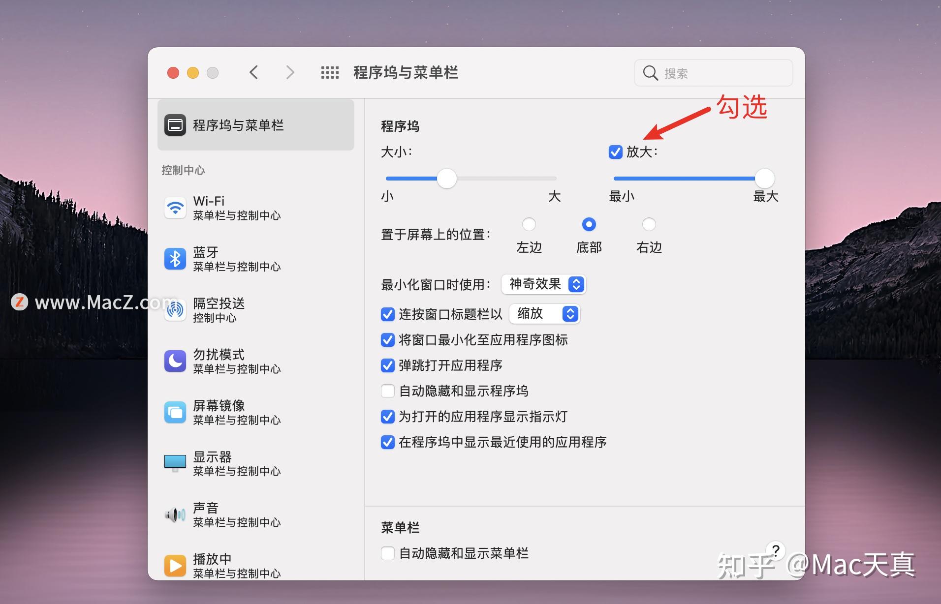 Fluid Browser Mac���԰� ƫ������ ���ع������