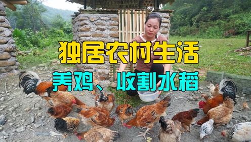 Ǯ�����԰�����ճ����� �ֲ���������ȫ������ʵ��ͼ