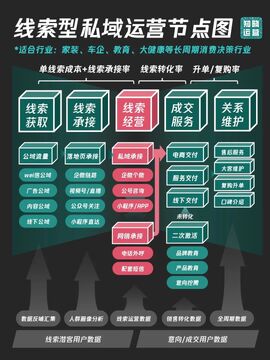 揽星流量顾问低成本获客组合打法配图