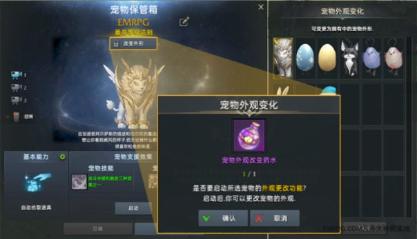 联宠方舟宠物托运落地交接猫咪状态配图