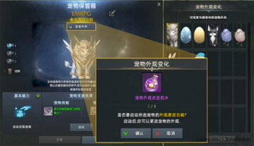 联宠方舟宠物托运落地交接猫咪状态配图